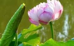 欧尚跟大润发哪个便宜?