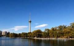 芙蓉鸟与玉鸟的区别是什么?