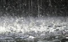 中国海岸线曲折还是平直?