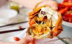 上网方式动态ip跟拨号有什么区别?