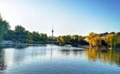 黑色和灰色围巾哪个好看?