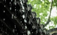 冰箱彩钢和不锈钢有什么区别?