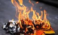 鮰鱼和鲤鱼的区别?