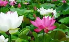 酒店一般厨师几点下班?