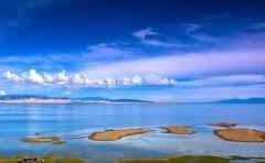 文竹的种子是一粒就可以长出好几束文竹吗?