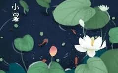 快递公司和货运部有什么区别?