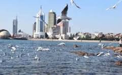 钛钢和纯钛的区别?