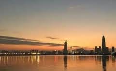 仙人球金虎好还是金冠?