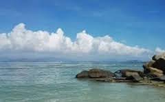 浣熊绒绵羊绒和山羊绒哪个好?