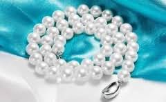 荷兰加勒比证券交易所在哪?