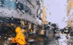 东北虎是不是保护动物之一?