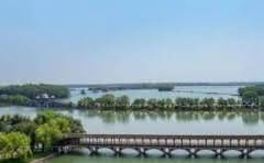 拉布拉多和金毛哪个温顺?